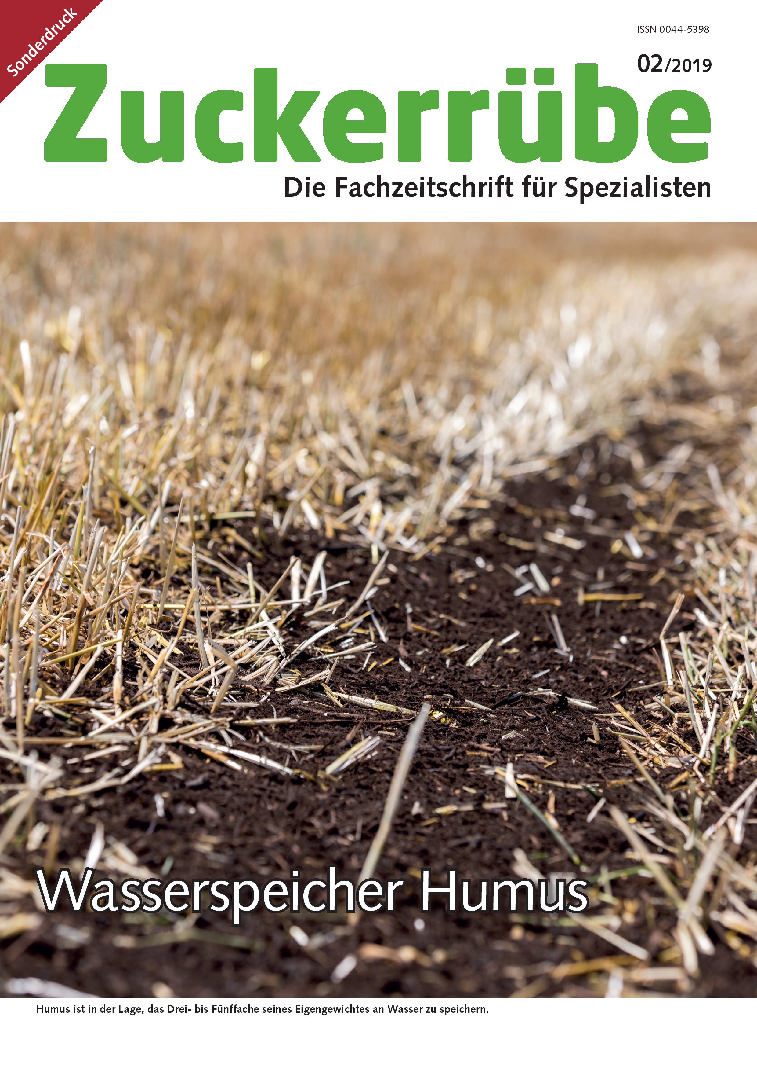 Zuckerrübe - Wasserspeicher Humus