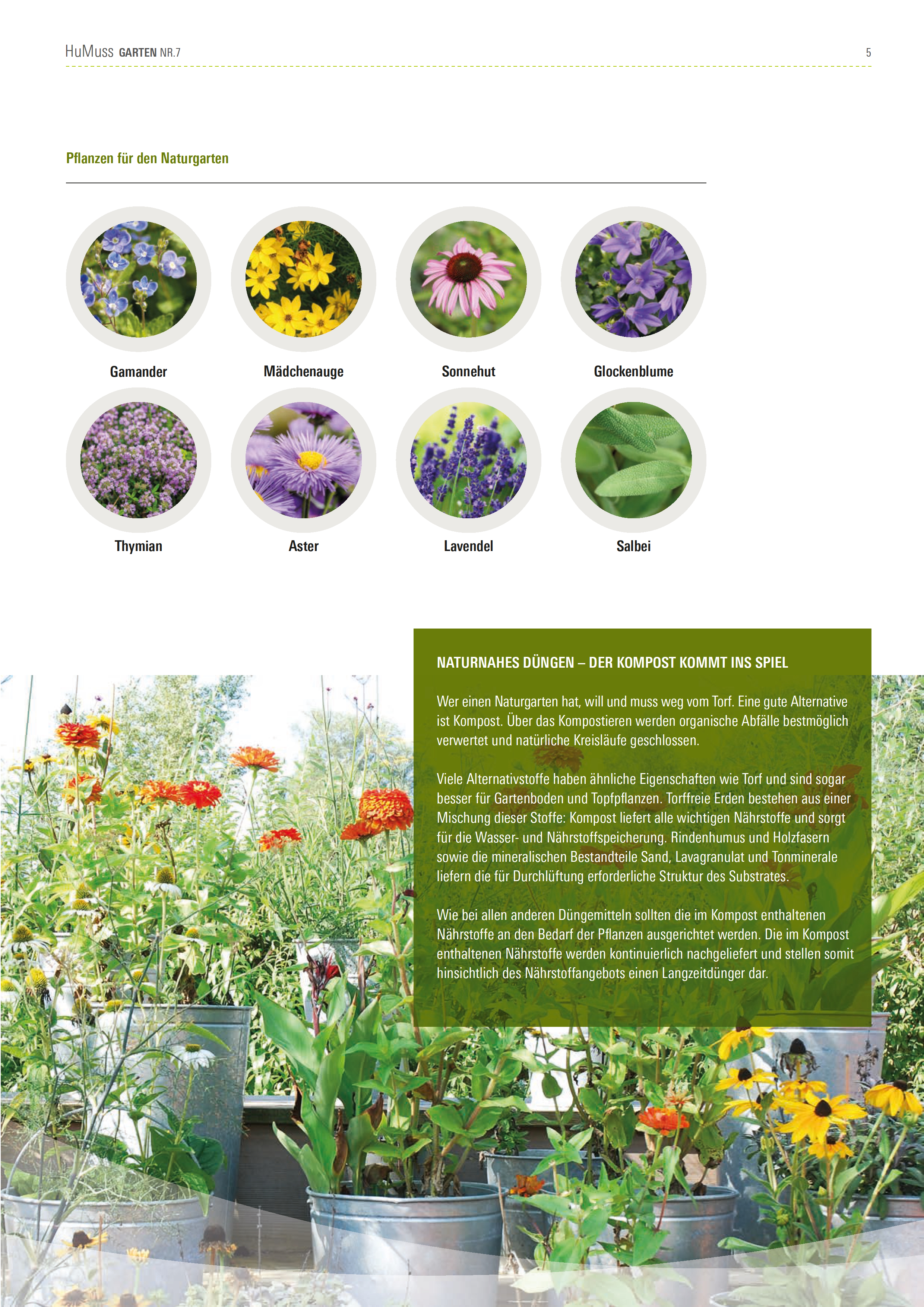 HuMuss Garten Nr. 7 - Garten Welten
