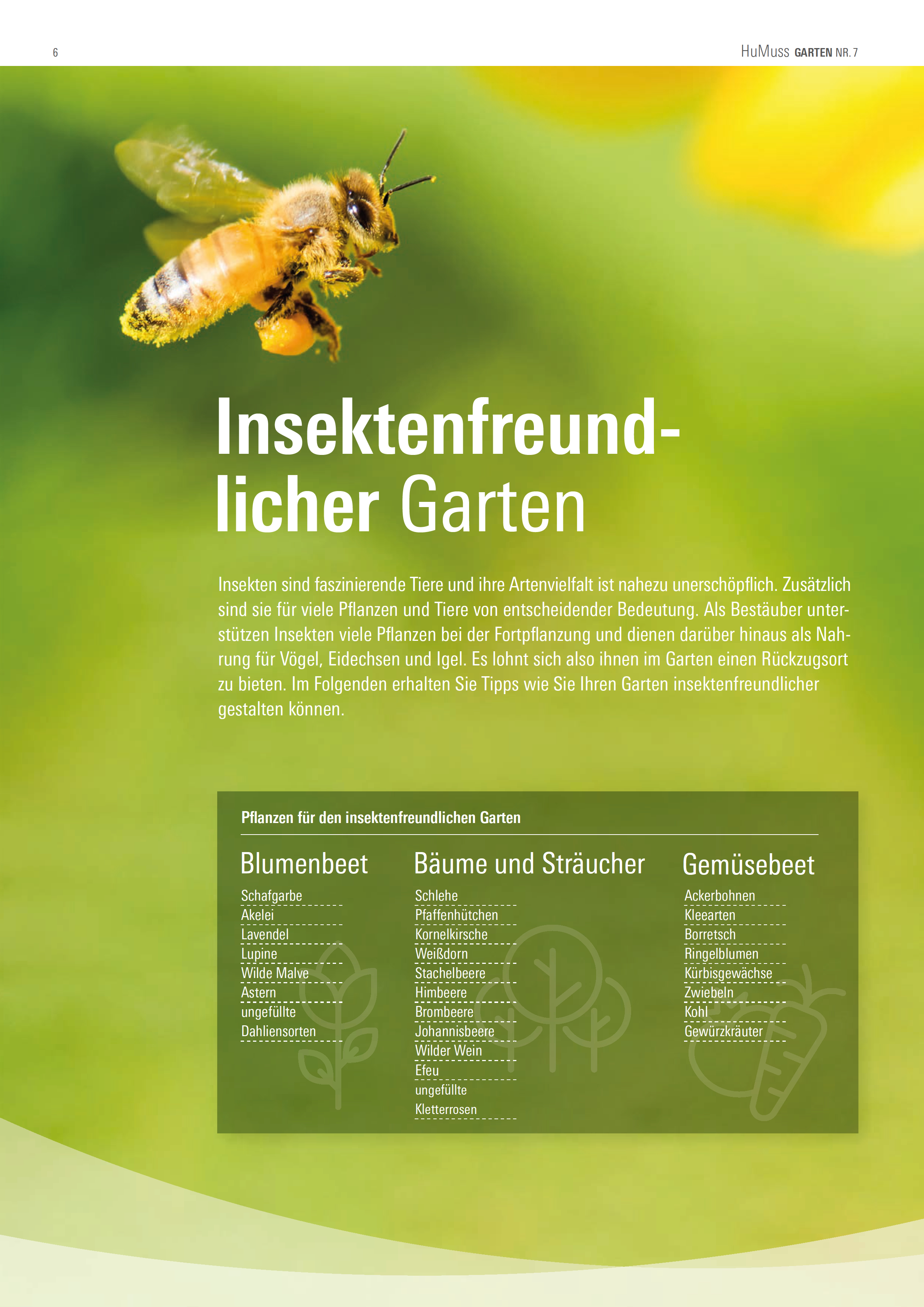 HuMuss Garten Nr. 7 - Garten Welten