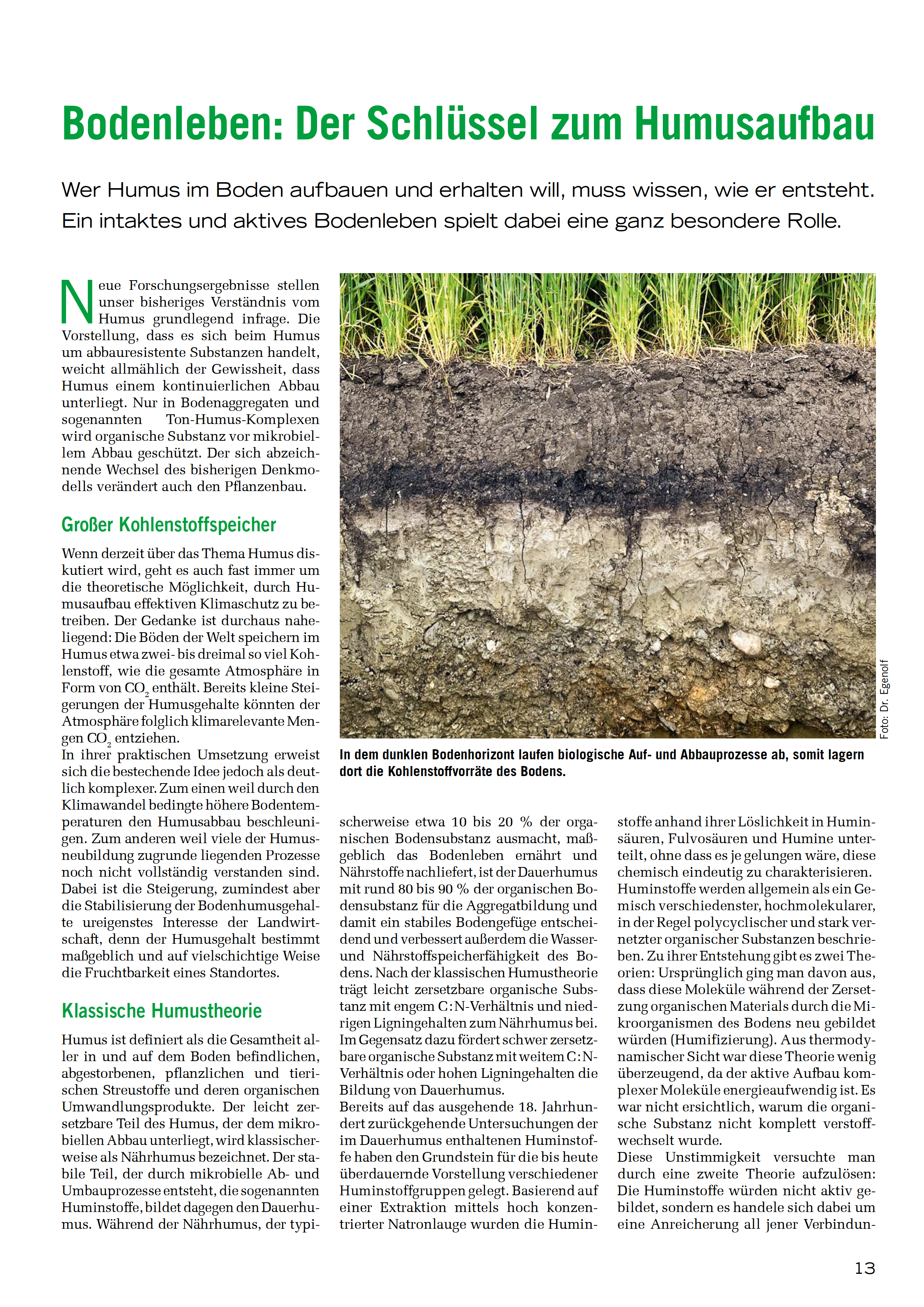 Mit Humus und Kompost den Boden Verbessern