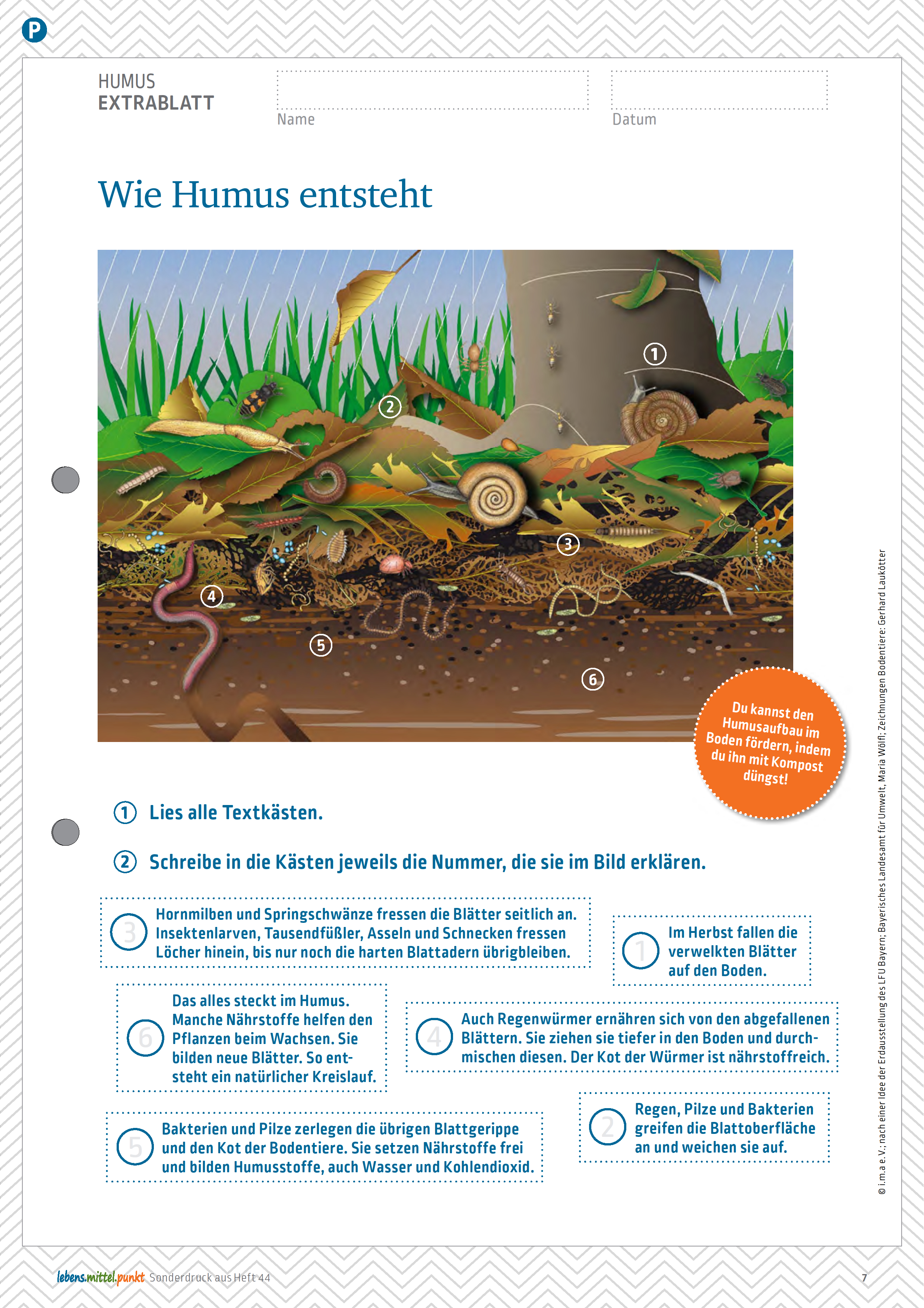 i.m.a Lehrermagazin - Humus - schwarzes Gold im Boden